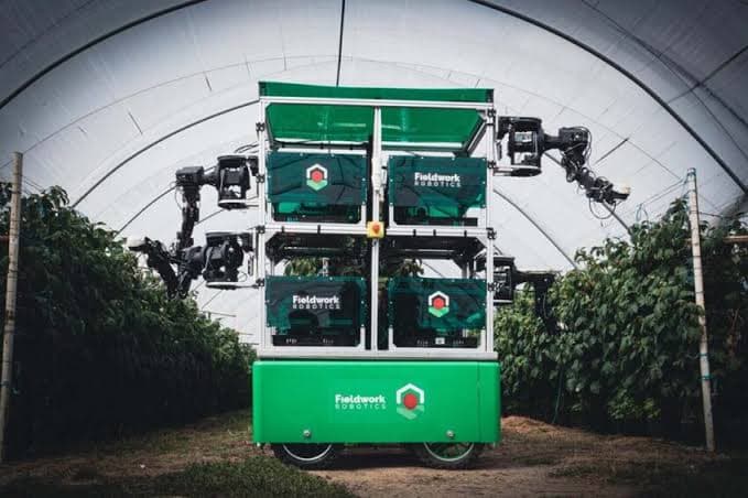 Fieldwork Robotics Robot de récolte de baies